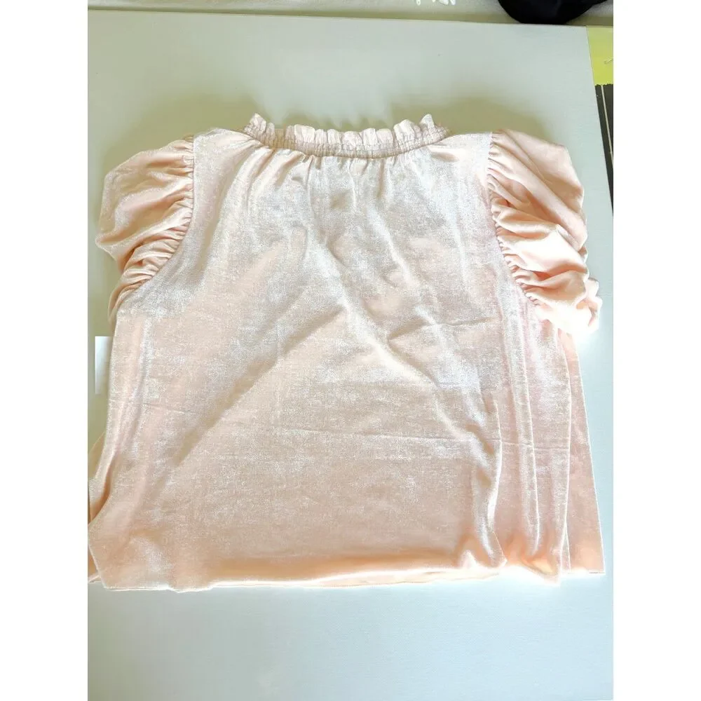Free People Terese Blush Pink Velvet Puff Sleeve Top Size XS NWT